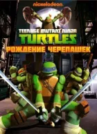 Черепашки-ниндзя онлайн безкоштовно