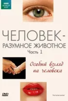 BBC: Людина - розумна тварина онлайн безкоштовно