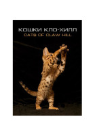 Кошки Кло-Хилл онлайн безкоштовно