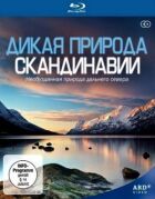 Скандинавська пустеля онлайн безкоштовно