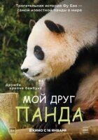 Мій друг панда онлайн безкоштовно