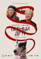 Вірний друг онлайн безкоштовно