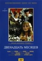 Дванадцять місяців онлайн безкоштовно