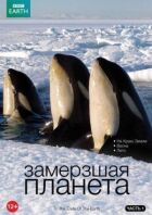 BBC: Замерзла планета онлайн безкоштовно