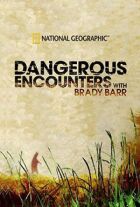National Geographic. Небезпечні зустрічі онлайн безкоштовно