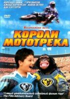 Королі мототреку онлайн безкоштовно
