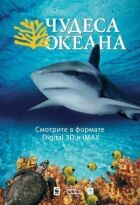Чудеса океану онлайн безкоштовно