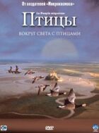 Птахи онлайн безкоштовно