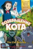 Повернення кота онлайн безкоштовно