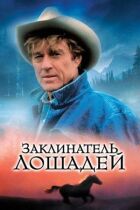 Заклинатель коней онлайн безкоштовно