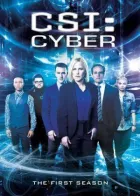 CSI: Кіберпростір онлайн безкоштовно