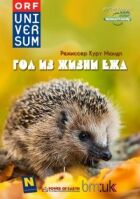 Рік із життя їжака онлайн безкоштовно
