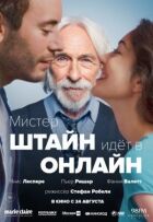 Містер Штайн іде в онлайн онлайн безкоштовно