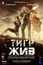 Тигр живий онлайн безкоштовно