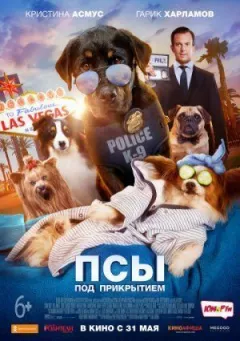Пси під прикриттям