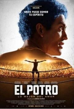 Ель Потро, народжений любити