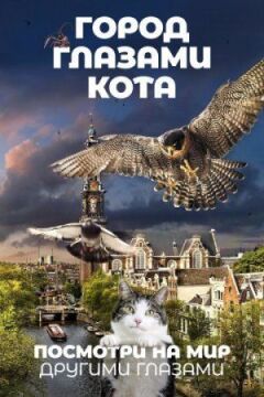Місто очима кота онлайн безкоштовно