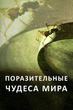 Вражаючі дива світу