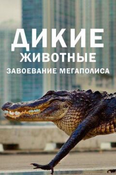 Дикі тварини: Завоювання мегаполісу