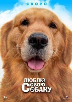 Люблю свою собаку онлайн безкоштовно