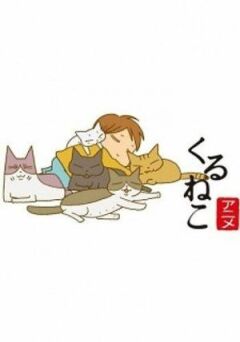 Котячі історії онлайн безкоштовно