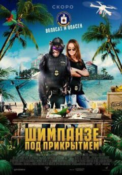 Шимпанзе під прикриттям онлайн безкоштовно