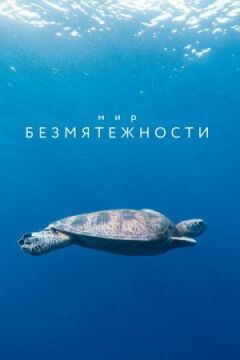 Світ безтурботності