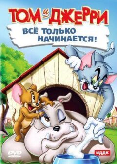 Кіт грає в боулінг