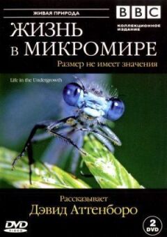 BBC: Жизнь в микромире онлайн безкоштовно