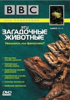 BBC: Ці загадкові тварини онлайн безкоштовно