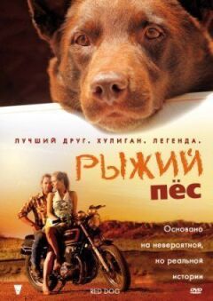 Рудий пес онлайн безкоштовно