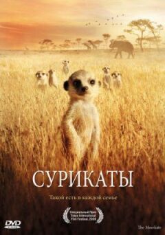 Сурікати онлайн безкоштовно