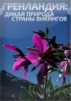 Гренландія: Дика природа країни вікінгів онлайн безкоштовно