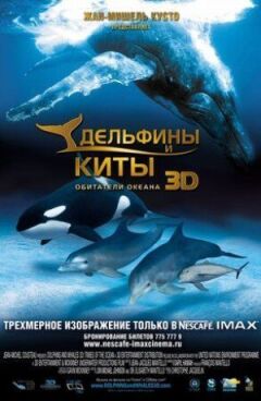 Дельфіни та кити 3D