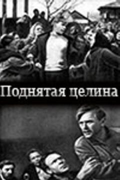 Піднята цілина