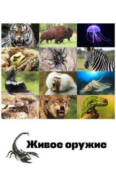 Жива зброя онлайн безкоштовно