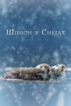 Шпигун у снігах онлайн безкоштовно