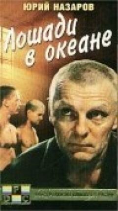Коні в океані