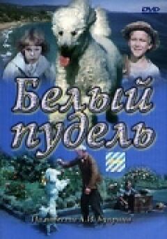 Білий пудель