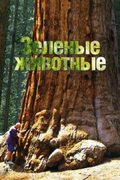 Зелені тварини