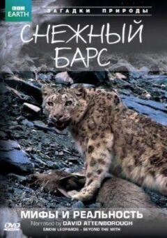 BBC: Сніговий барс: Міфи та реальності онлайн безкоштовно