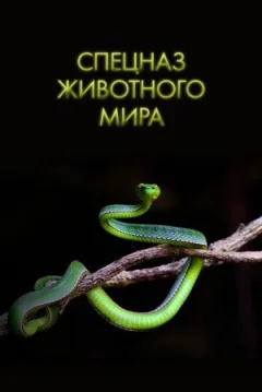 Спецназ животного мира онлайн безкоштовно