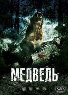 Ведмідь