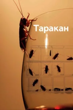 Тарган онлайн безкоштовно