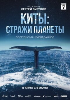 Кити: Вартові планети