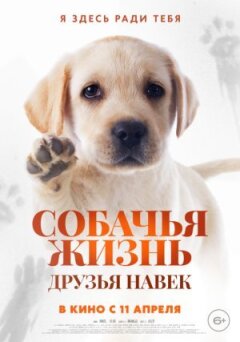 Собаче життя: Друзі навіки онлайн безкоштовно