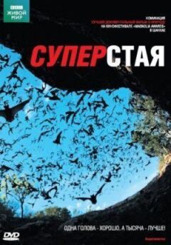 BBC: Суперстая онлайн безкоштовно