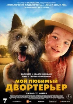 Мій улюблений двортер'єр онлайн безкоштовно