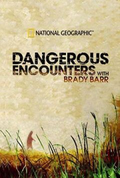 National Geographic. Небезпечні зустрічі онлайн безкоштовно