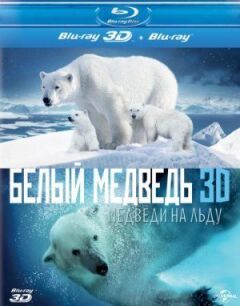 Полярні ведмеді